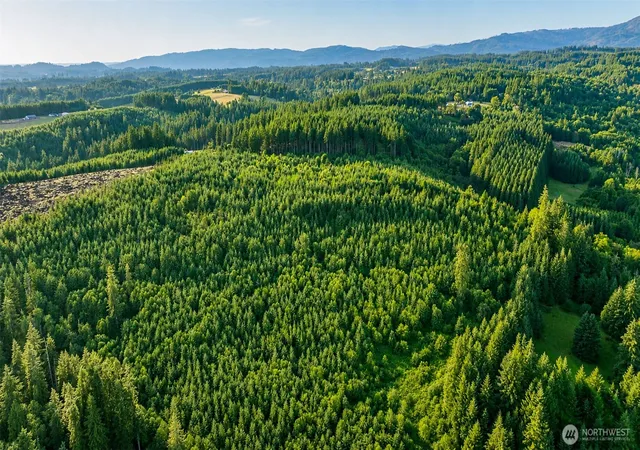 Photo 4 of Land for sale at 0 NE Finalburg Rd, La Center, WA 98629 | MLS# NWM2522745 | Listing updated on 2026-09-17