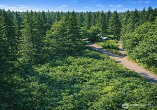 Photo 3 of Land for sale at 56925 382nd Avenue E, Ashford, WA 98304 | MLS# NWM2536584 | Listing updated on 2026-09-23