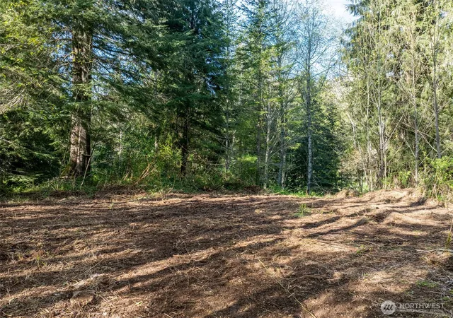 Photo 1 of Land for sale at 0 Davis Lake Rd, Morton, WA 98356 | MLS# NWM2539290 | Listing updated on 2026-09-22