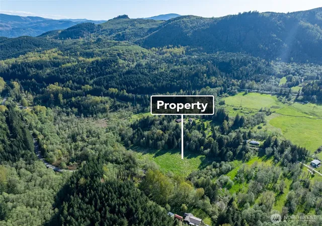 Photo 4 of Land for sale at 0 Davis Lake Rd, Morton, WA 98356 | MLS# NWM2539290 | Listing updated on 2026-09-22