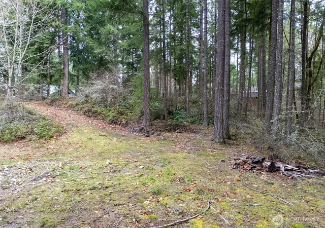 Photo 2 of Land for sale at 18214 Big Fir Ct Se, Yelm, WA 98597 | MLS# NWM2547098 | Listing updated on 2026-09-18