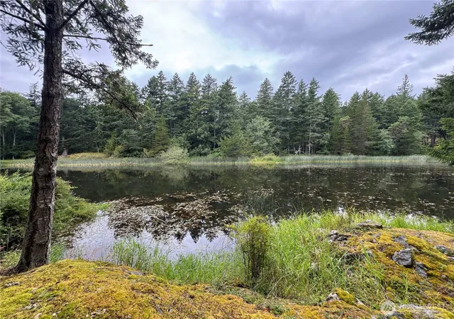 Photo 1 of Sale Pending at 230 Serendipity Ln, Orcas Island, WA 98243 | MLS# NWM2549843 | Listing updated on 2026-09-18