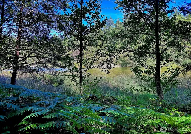 Photo 3 of Sale Pending at 230 Serendipity Ln, Orcas Island, WA 98243 | MLS# NWM2549843 | Listing updated on 2026-09-18