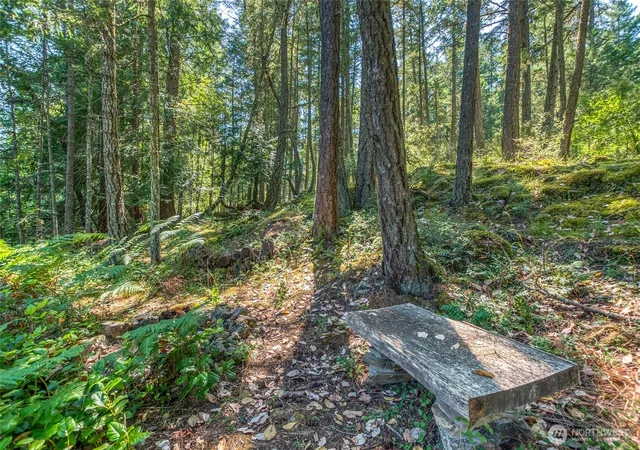 Photo 3 of Sale Pending at 230 Serendipity Ln, Orcas Island, WA 98243 | MLS# NWM2549843 | Listing updated on 2026-09-18