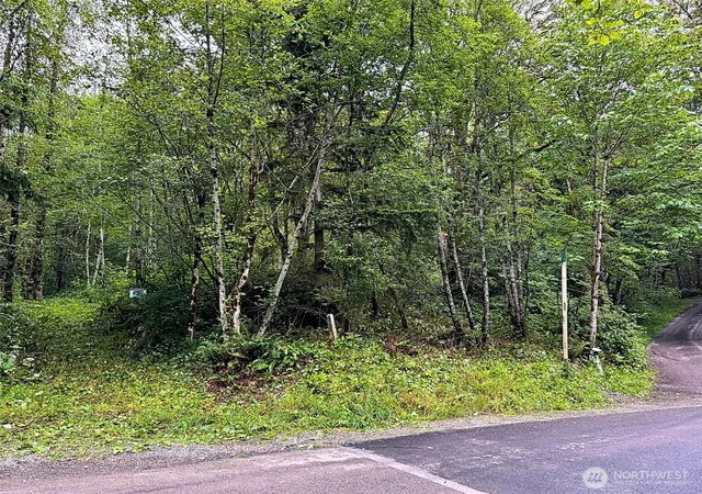 Photo 1 of Land for sale at 355 Se Xx Courtney Rd, Ravensdale, WA 98051 | MLS# NWM2562834 | Listing updated on 2026-09-23