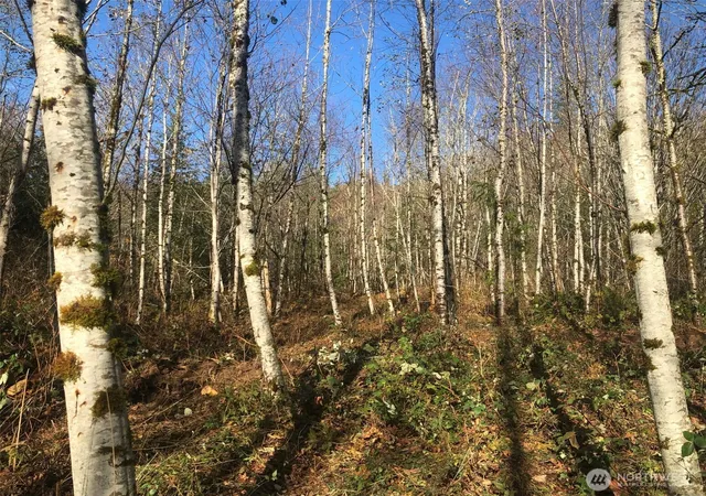 Photo 2 of Land for sale at 355 Se Xx Courtney Rd, Ravensdale, WA 98051 | MLS# NWM2562834 | Listing updated on 2026-09-23