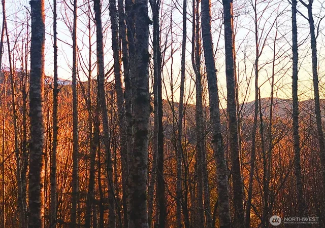 Photo 3 of Land for sale at 355 Se Xx Courtney Rd, Ravensdale, WA 98051 | MLS# NWM2562834 | Listing updated on 2026-09-23