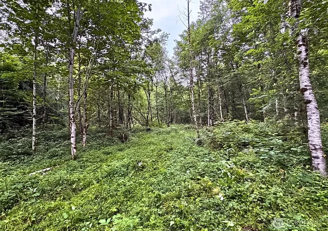 Photo 3 of Land for sale at 355 SE Xx Courtney Rd, Ravensdale, WA 98051 | MLS# NWM2562834 | Listing updated on 2026-09-23