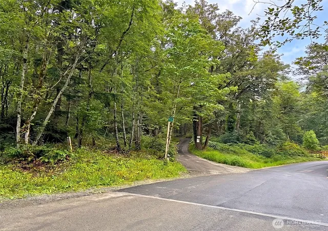 Photo 4 of Land for sale at 355 SE Xx Courtney Rd, Ravensdale, WA 98051 | MLS# NWM2562834 | Listing updated on 2026-09-23