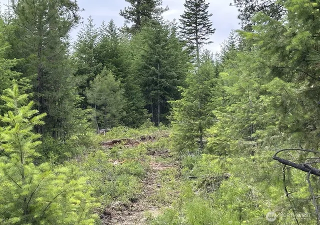 Photo 1 of Land for sale at 3600 Lot B Sheridan #C, Republic, WA 99166 | MLS# NWM2563944 | Listing updated on 2026-09-23