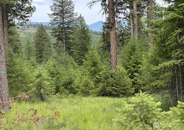 Photo 3 of Land for sale at 3600 Lot B Sheridan #C, Republic, WA 99166 | MLS# NWM2563944 | Listing updated on 2026-09-23