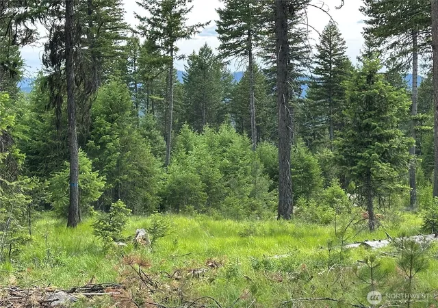 Photo 1 of Land for sale at 3600 Lot A Sheridan, Republic, WA 99166 | MLS# NWM2564028 | Listing updated on 2026-09-23