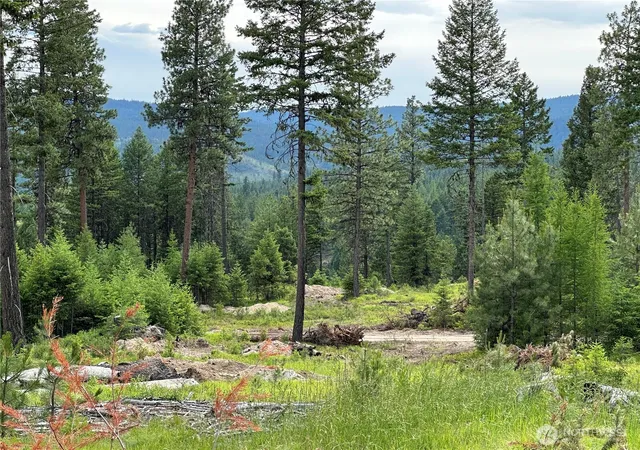 Photo 2 of Land for sale at 3600 Lot A Sheridan, Republic, WA 99166 | MLS# NWM2564028 | Listing updated on 2026-09-23