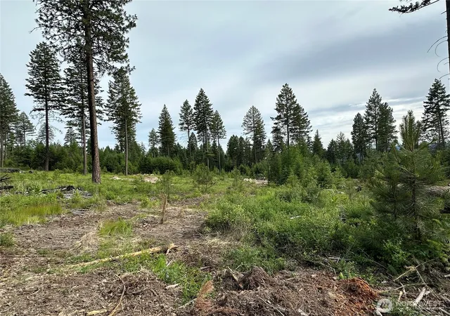 Photo 3 of Land for sale at 3600 Lot A Sheridan, Republic, WA 99166 | MLS# NWM2564028 | Listing updated on 2026-09-23
