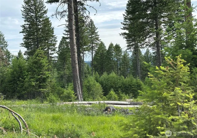 Photo 3 of Land for sale at 3600 Lot A Sheridan, Republic, WA 99166 | MLS# NWM2564028 | Listing updated on 2026-09-23