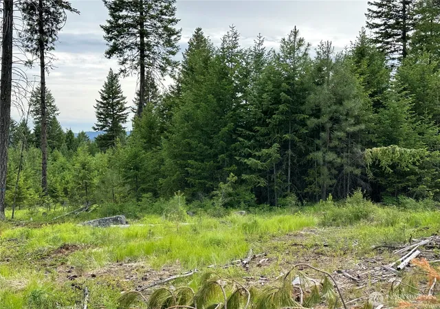 Photo 4 of Land for sale at 3600 Lot A Sheridan, Republic, WA 99166 | MLS# NWM2564028 | Listing updated on 2026-09-23