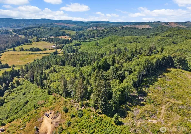 Photo 4 of Land for sale at 466 Monohon Landing Rd, Raymond, WA 98577 | MLS# NWM2564395 | Listing updated on 2026-09-17