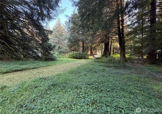 Photo 3 of Sale Pending at 9999 Pleasant Meadows Ln, Beaver, WA 98305 | MLS# NWM2570712 | Listing updated on 2026-09-25