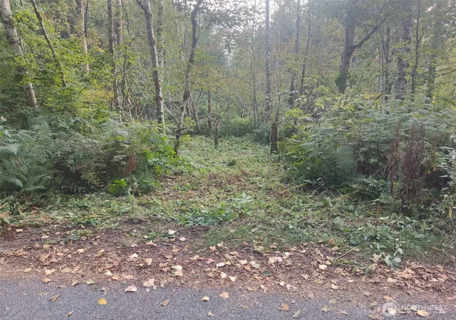 Photo 3 of Land for sale at 7566 Glacier Springs Dr, Deming, WA 98244 | MLS# NWM2571559 | Listing updated on 2026-09-25