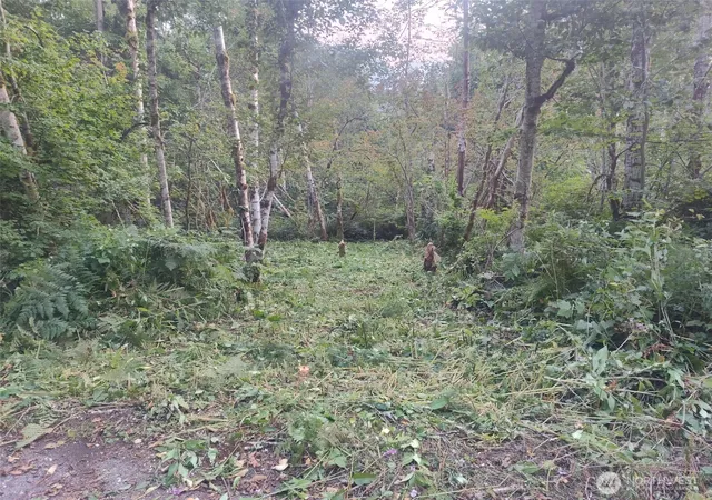 Photo 3 of Land for sale at 7566 Glacier Springs Dr, Deming, WA 98244 | MLS# NWM2571559 | Listing updated on 2026-09-25