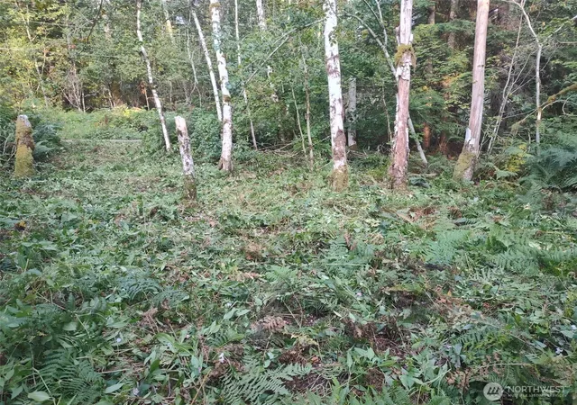 Photo 4 of Land for sale at 7566 Glacier Springs Dr, Deming, WA 98244 | MLS# NWM2571559 | Listing updated on 2026-09-25