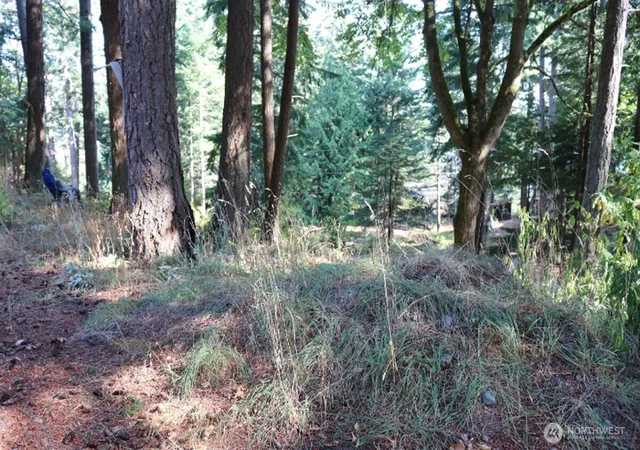 Photo 3 of Land for sale at 0 Island Dr, Lummi Island, WA 98262 | MLS# NWM2571838 | Listing updated on 2026-09-25