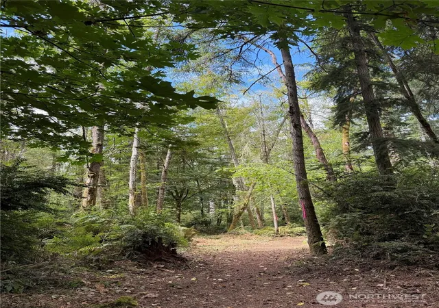 Photo 4 of Sale Pending at 13220 SW 244th Street, Vashon, WA 98070 | MLS# NWM2572701 | Listing updated on 2026-09-16