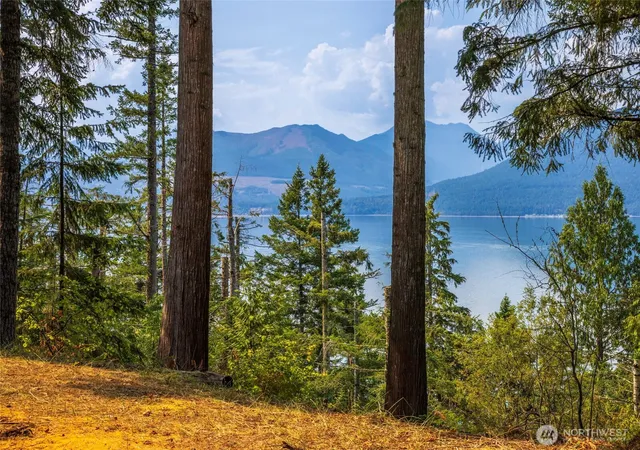 Photo 2 of Sale Pending at 124 Foxglove Ln, Quilcene, WA 98376 | MLS# NWM2572976 | Listing updated on 2026-09-16