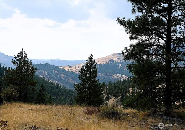 Photo 2 of Land for sale at 38 Excelsior Wy, Curlew, WA 99166 | MLS# NWM2573285 | Listing updated on 2026-09-25