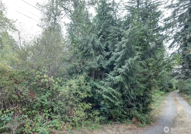 Photo 4 of Land for sale at 5400 224Th E, Spanaway, WA 98387 | MLS# NWM2573639 | Listing updated on 2026-09-16