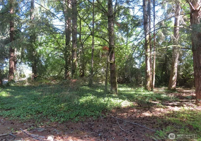 Photo 1 of Land for sale at 8021 Afflerbaugh Ct Se, Lacey, WA 98503 | MLS# NWM2573827 | Listing updated on 2026-09-25
