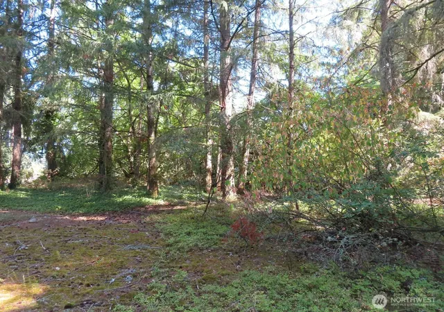 Photo 3 of Land for sale at 8021 Afflerbaugh Ct Se, Lacey, WA 98503 | MLS# NWM2573827 | Listing updated on 2026-09-25