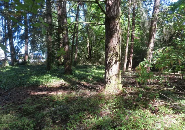 Photo 4 of Land for sale at 8021 Afflerbaugh Ct Se, Lacey, WA 98503 | MLS# NWM2573827 | Listing updated on 2026-09-25