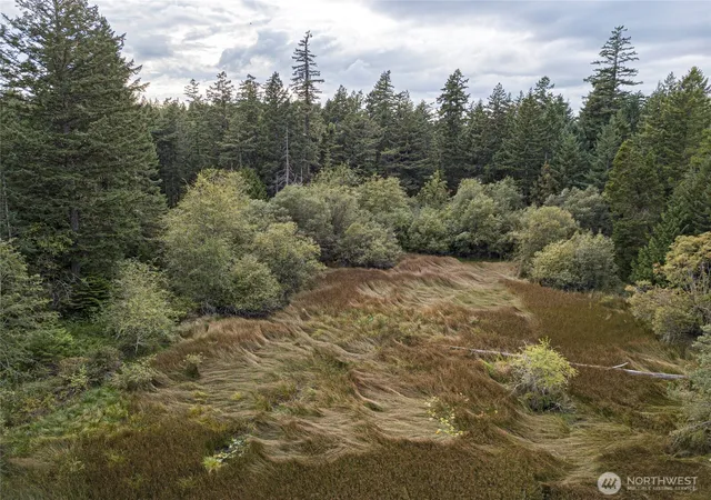 Photo 4 of Land for sale at 0 Three Corners Lake Rd, Friday Harbor, WA 98250 | MLS# NWM2574761 | Listing updated on 2026-09-17