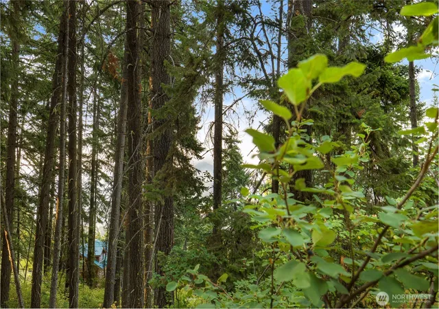 Photo 3 of Land for sale at 76 Lot Horse Haven Rd, Cle Elum, WA 98922 | MLS# NWM2575191 | Listing updated on 2026-09-17