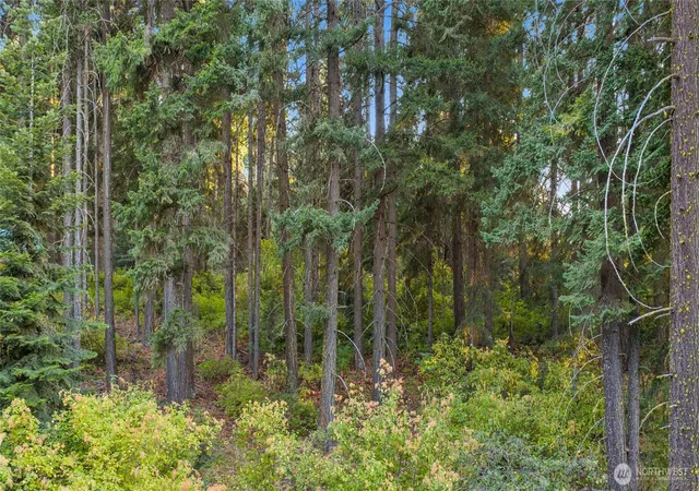 Photo 4 of Land for sale at 76 Lot Horse Haven Rd, Cle Elum, WA 98922 | MLS# NWM2575191 | Listing updated on 2026-09-17