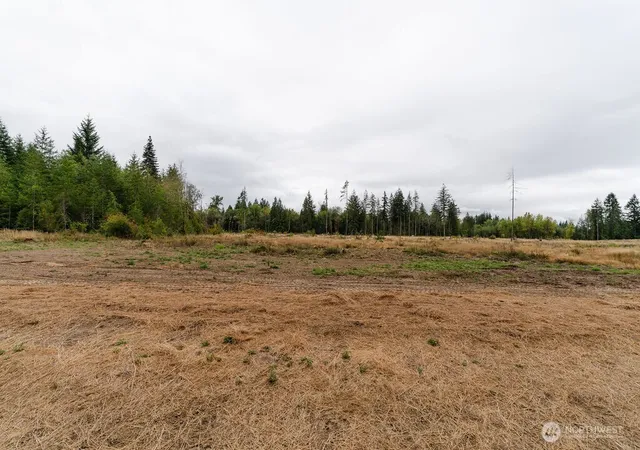 Photo 3 of Land for sale at 150 Easton Ln, Chehalis, WA 98532 | MLS# NWM2576475 | Listing updated on 2026-09-21