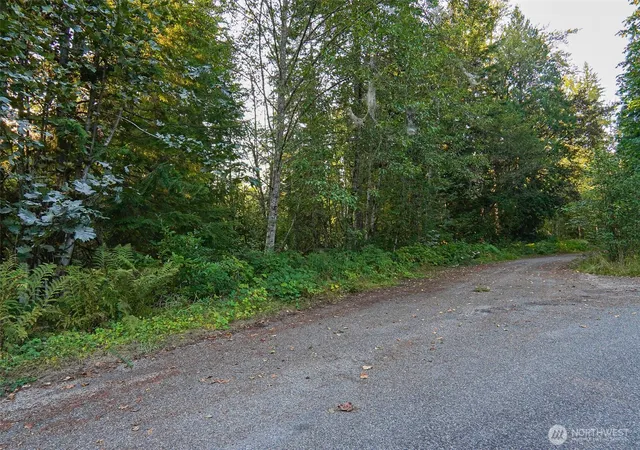Photo 3 of Land for sale at 7581 Glacier Springs Dr, Deming, WA 98244 | MLS# NWM2577366 | Listing updated on 2026-09-25