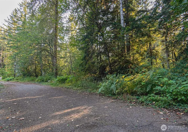 Photo 4 of Land for sale at 7581 Glacier Springs Dr, Deming, WA 98244 | MLS# NWM2577366 | Listing updated on 2026-09-25