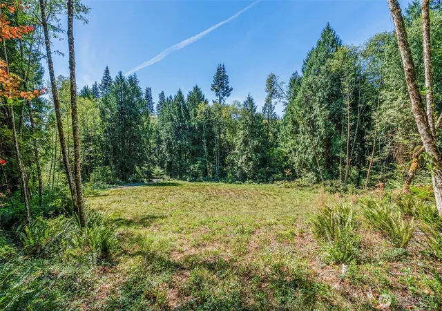 Photo 4 of Land for sale at 0 Old Tree Farm Dr #A, Longview, WA 98632 | MLS# NWM2578881 | Listing updated on 2026-10-01