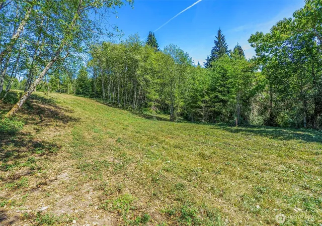 Photo 3 of Land for sale at 0 Old Tree Farm Dr #D, Longview, WA 98632 | MLS# NWM2578885 | Listing updated on 2026-10-01