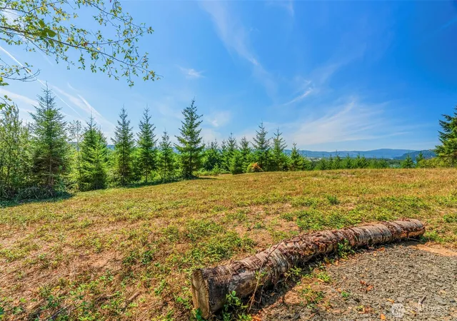 Photo 3 of Land for sale at 0 Old Tree Farm Dr #F, Longview, WA 98632 | MLS# NWM2578889 | Listing updated on 2026-10-01
