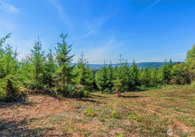 Photo 4 of Land for sale at 0 Old Tree Farm Dr #F, Longview, WA 98632 | MLS# NWM2578889 | Listing updated on 2026-10-01