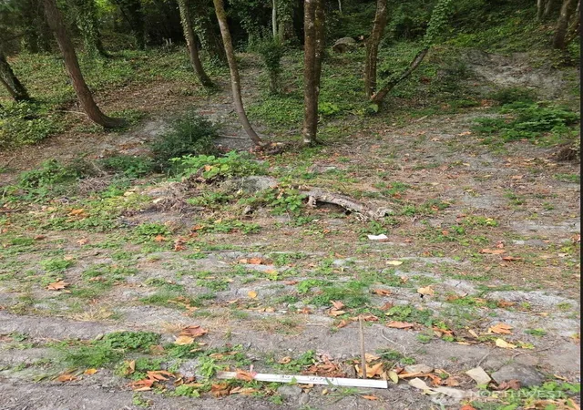 Photo 3 of Land for sale at 725 Rainier Ave N, Renton, WA 98057 | MLS# NWM2578963 | Listing updated on 2026-09-16