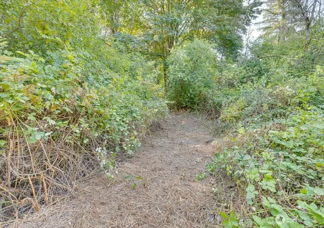 Photo 3 of Land for sale at 125 Xx Roosevelt Rd, Monroe, WA 98290 | MLS# NWM2582913 | Listing updated on 2026-10-02