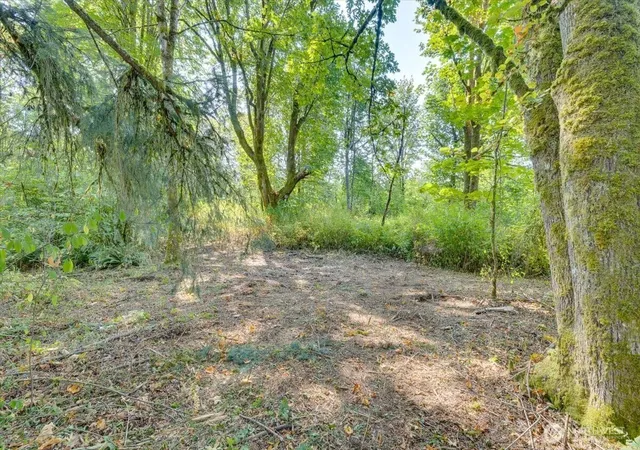 Photo 4 of Land for sale at 125 Xx Roosevelt Rd, Monroe, WA 98290 | MLS# NWM2582913 | Listing updated on 2026-10-02