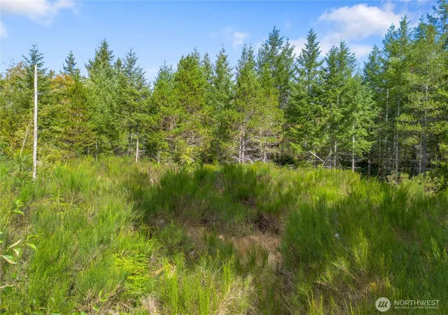 Photo 3 of Land for sale at 90044 E Xx Mooreview Ln, Shelton, WA 98584 | MLS# NWM2583124 | Listing updated on 2026-09-17