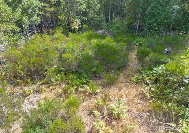 Photo 4 of Land for sale at 90044 E Xx Mooreview Ln, Shelton, WA 98584 | MLS# NWM2583124 | Listing updated on 2026-09-17