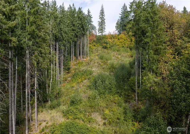 Photo 3 of Land for sale at 265 Talon Ct, Kalama, WA 98625 | MLS# NWM2583802 | Listing updated on 2026-09-17