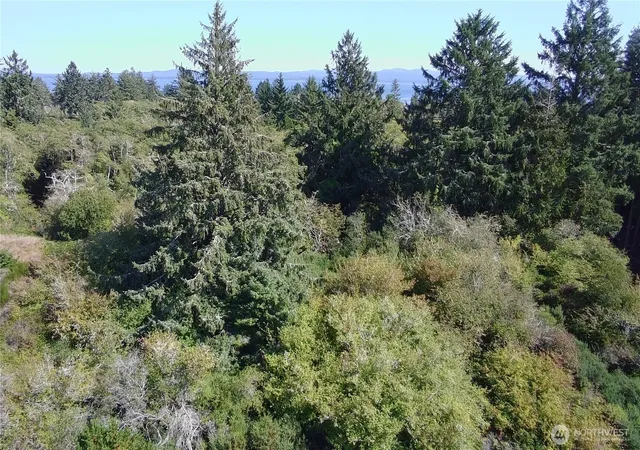 Photo 1 of Land for sale at 0 Oysterville Rd, Oysterville, WA 98641 | MLS# NWM2584202 | Listing updated on 2026-09-17